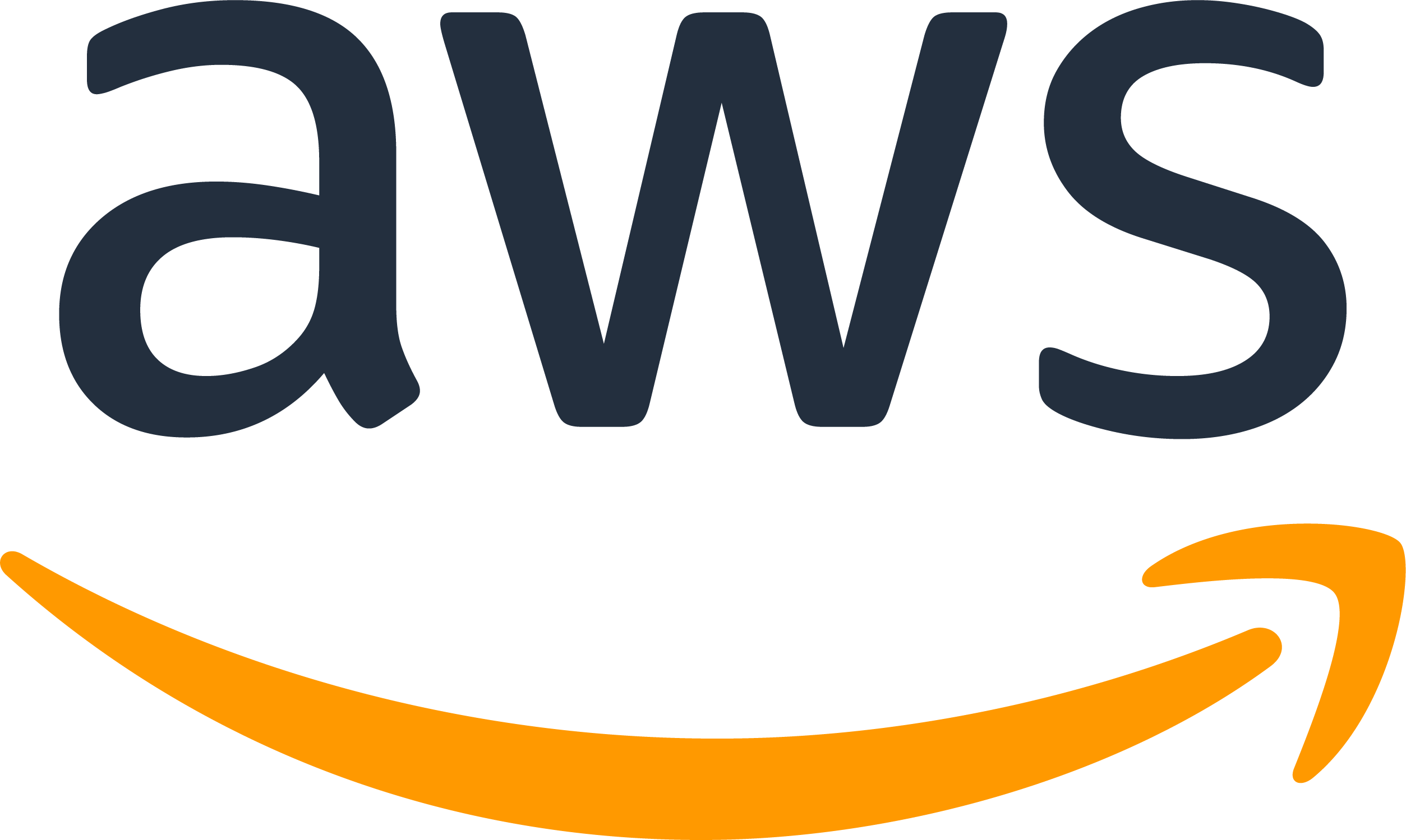 AWS Partner logo