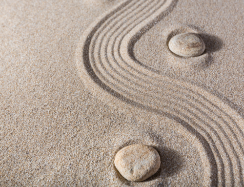 Sand, Stone, and Sprints: The Agile Leader’s Guide to Project Pivots