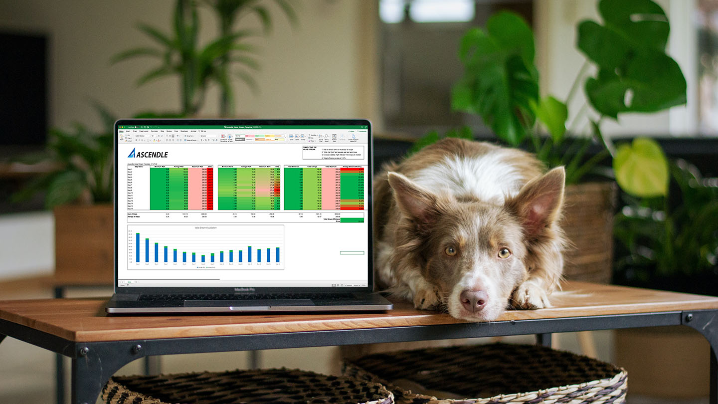 Value Stream Mapping Template
